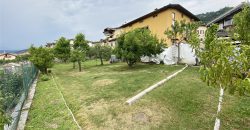 RICERCATO APPARTAMENTO CON GIARDINO