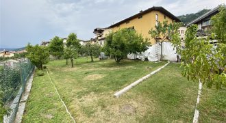 RICERCATO APPARTAMENTO CON GIARDINO