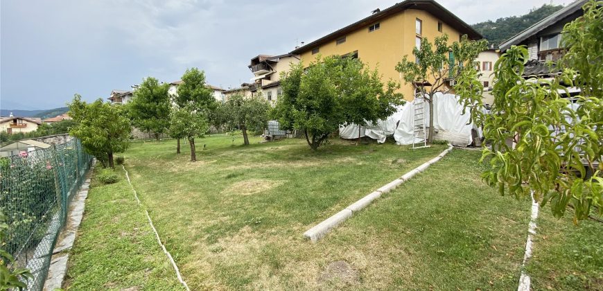 RICERCATO APPARTAMENTO CON GIARDINO