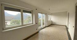 RICERCATO APPARTAMENTO CON GIARDINO