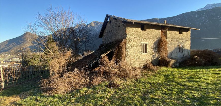 CASA SINGOLA DA RISTRUTTURARE CON GIARDINO