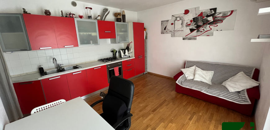 MINIAPPARTAMENTO CON GRANDE TERRAZZO