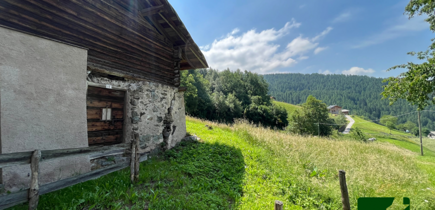 PORZIONE DI BAITA CON TERRENO