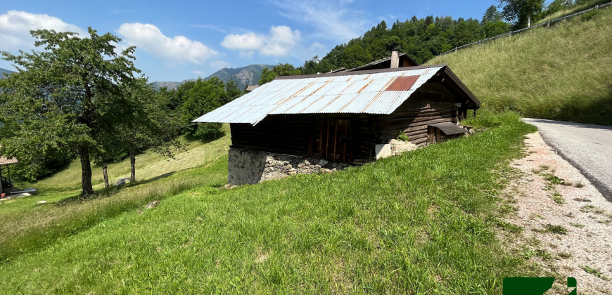 PORZIONE DI BAITA CON TERRENO