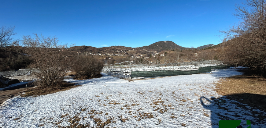 ESCLUSIVO TERRENO AGRICOLO COMPRENSIVO DI SERRE