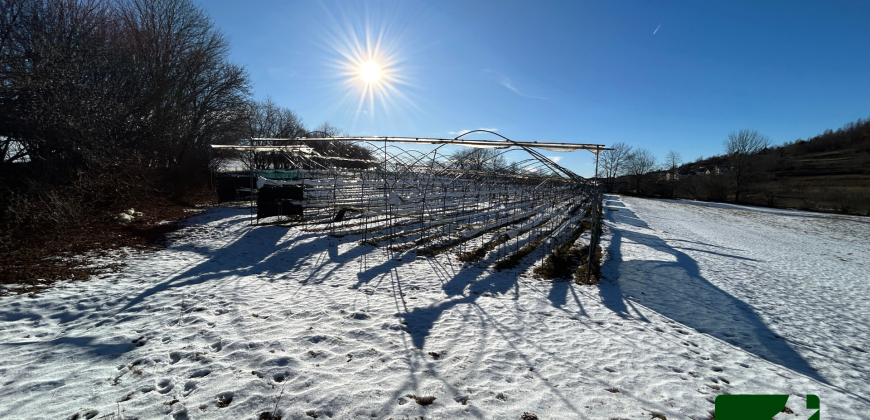 ESCLUSIVO TERRENO AGRICOLO COMPRENSIVO DI SERRE