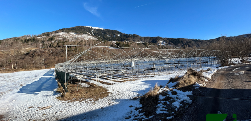 ESCLUSIVO TERRENO AGRICOLO COMPRENSIVO DI SERRE