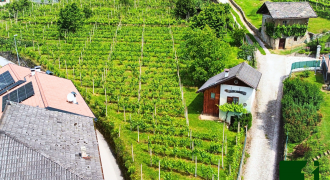 TERRENO AGRICOLO CON DEPOSITO
