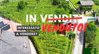 TERRENO AGRICOLO CON DEPOSITO TERRENO AGRICOLO CON DEPOSITO