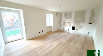 LUMINOSO DUE STANZE RISTRUTTURATO CON PERTINENZE