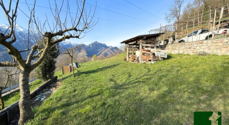 PANORAMICO TERRENO AGRICOLO