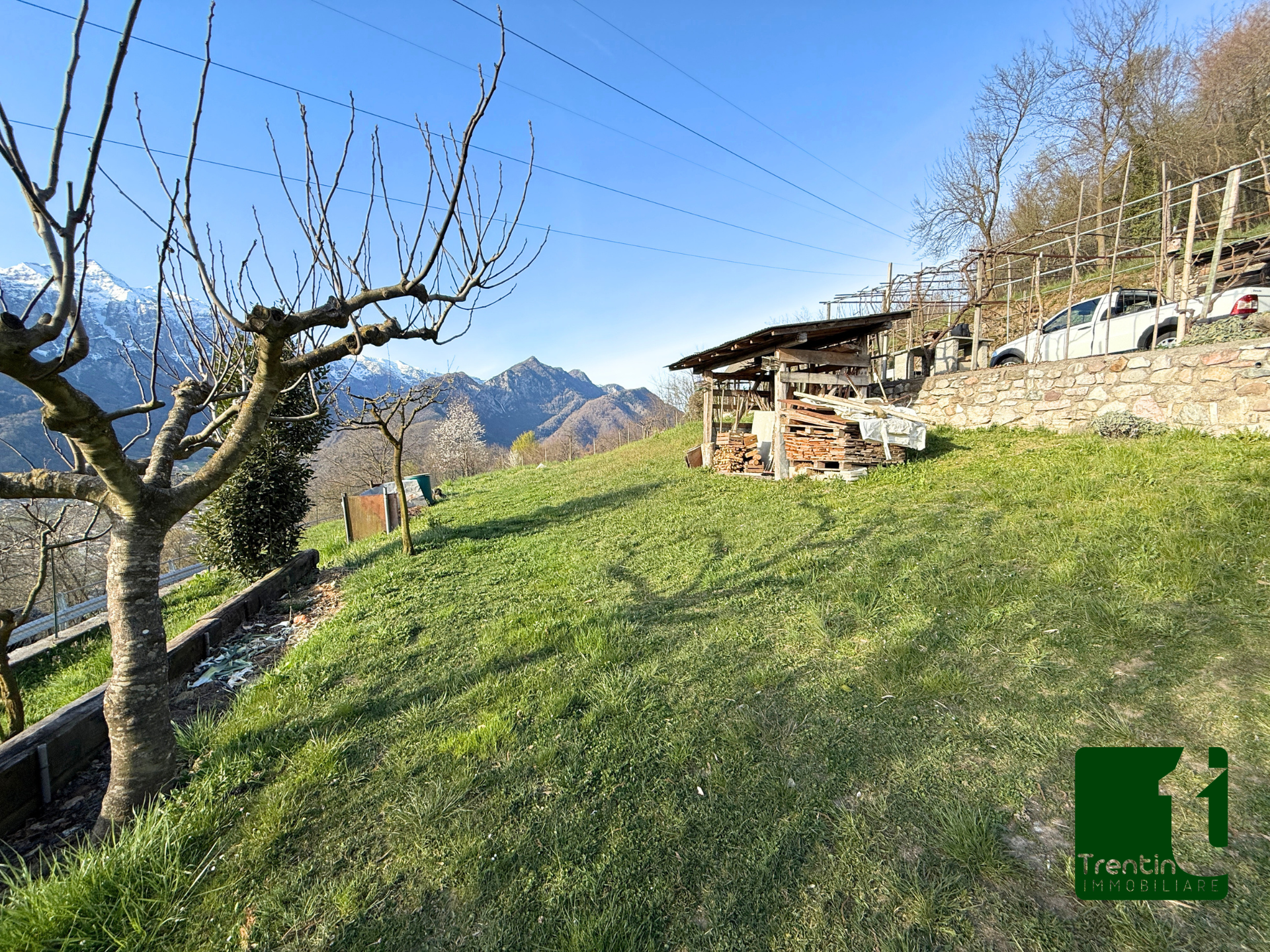 PANORAMICO TERRENO AGRICOLO