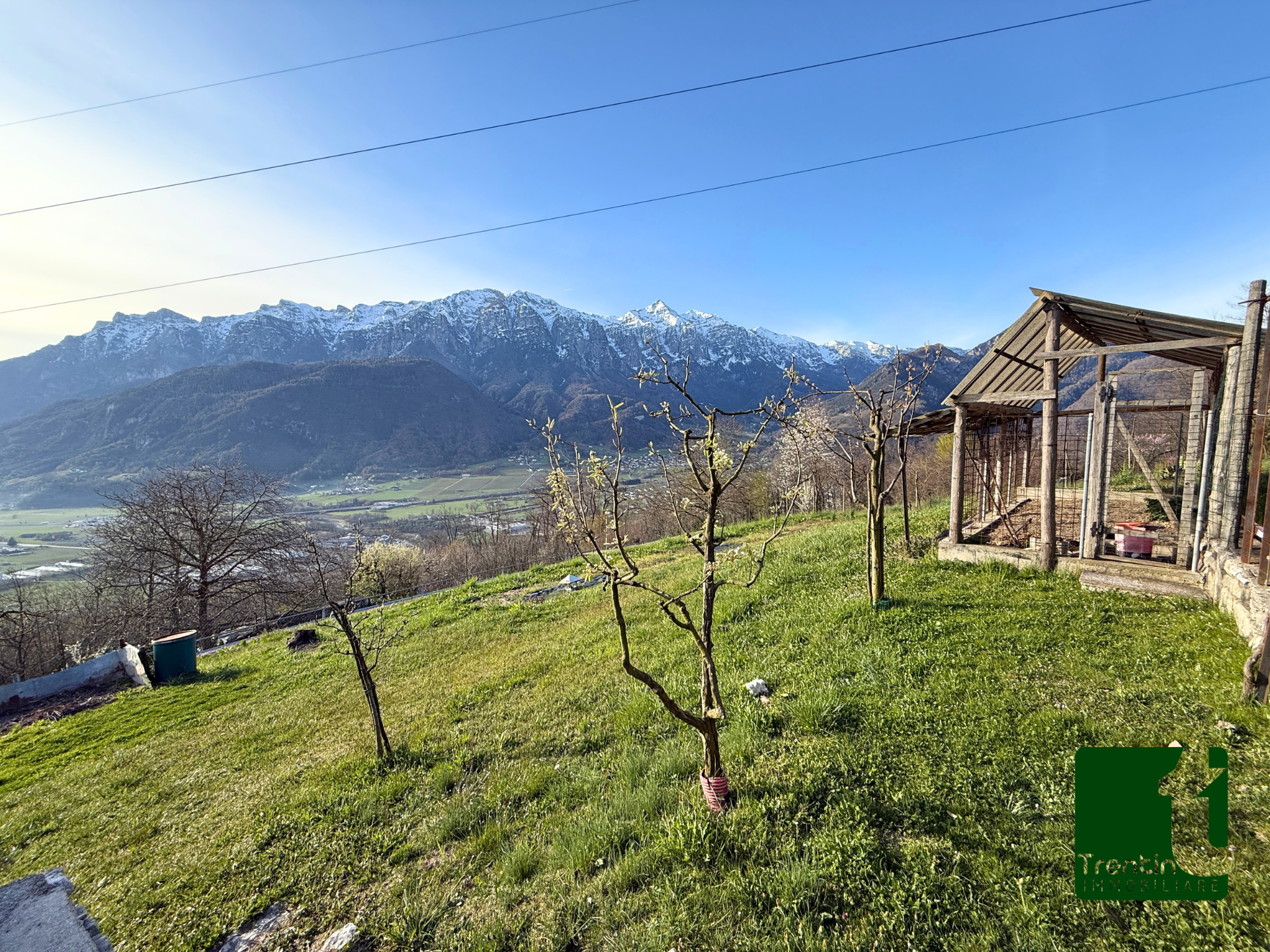 PANORAMICO TERRENO AGRICOLO