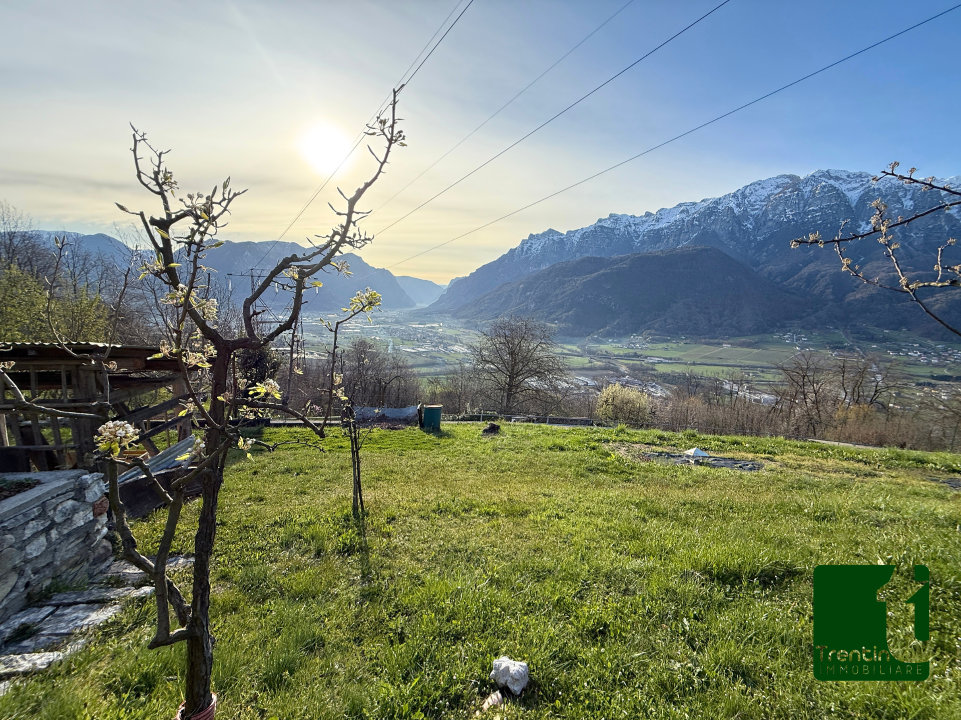 PANORAMICO TERRENO AGRICOLO