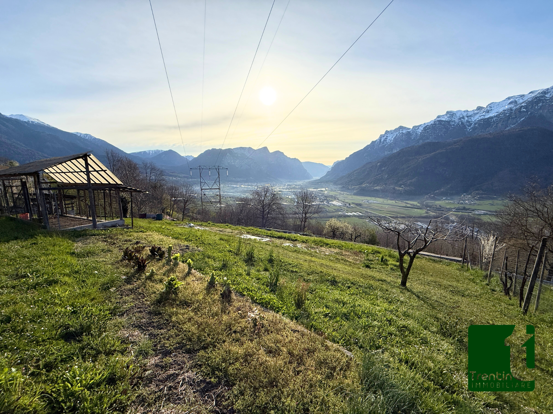 PANORAMICO TERRENO AGRICOLO