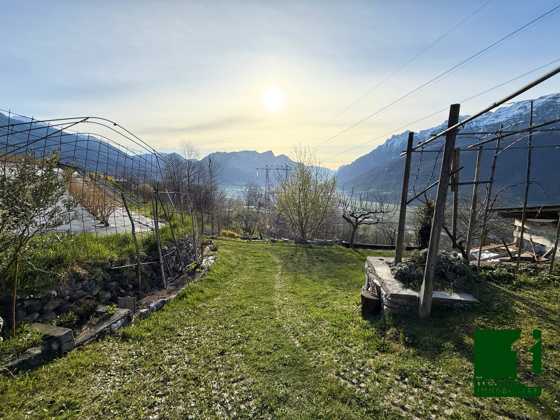 PANORAMICO TERRENO AGRICOLO