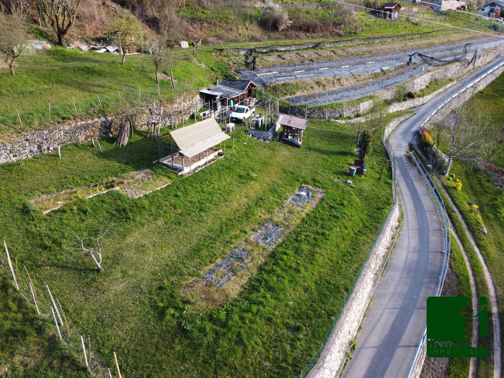 PANORAMICO TERRENO AGRICOLO