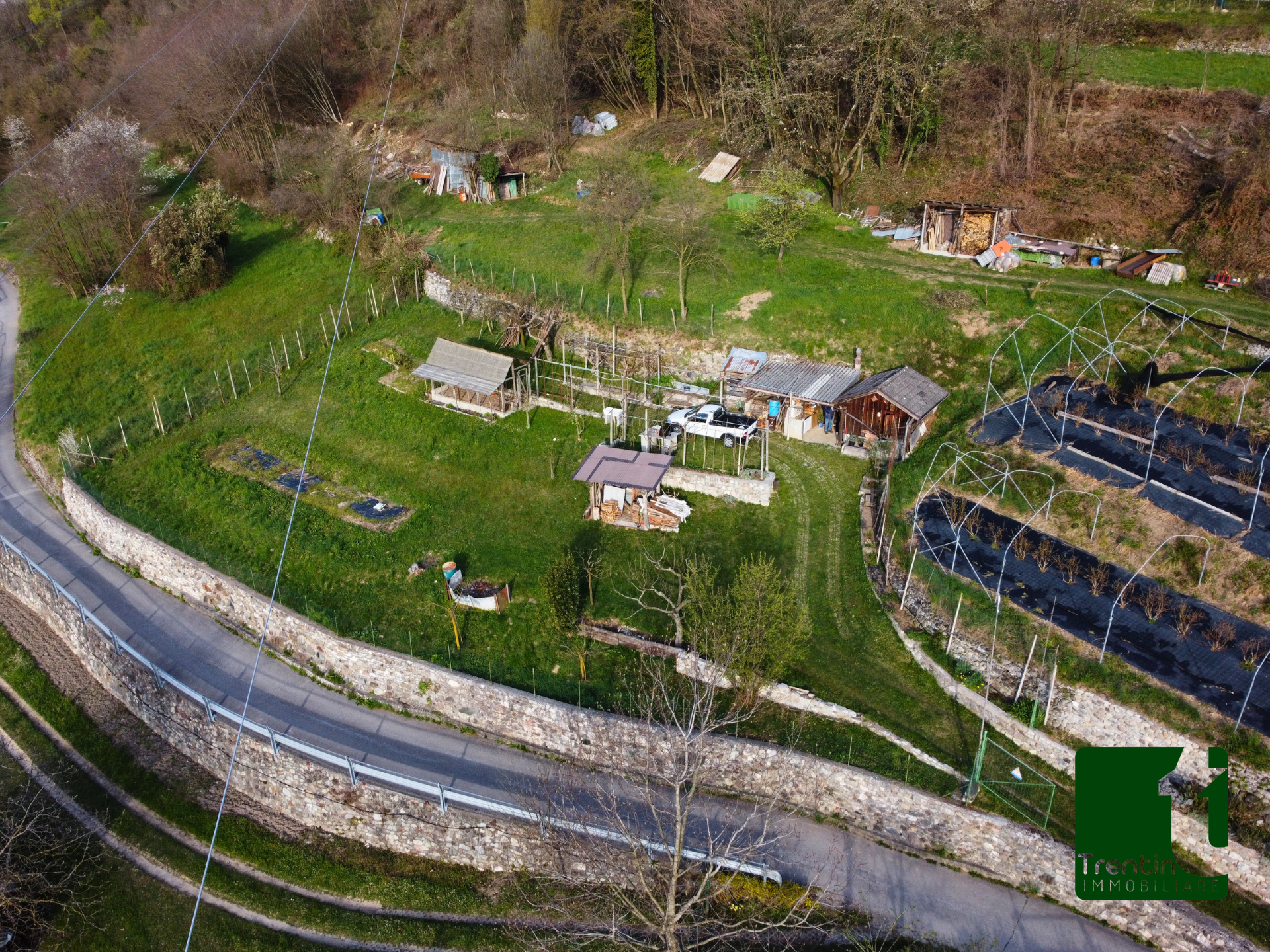 PANORAMICO TERRENO AGRICOLO