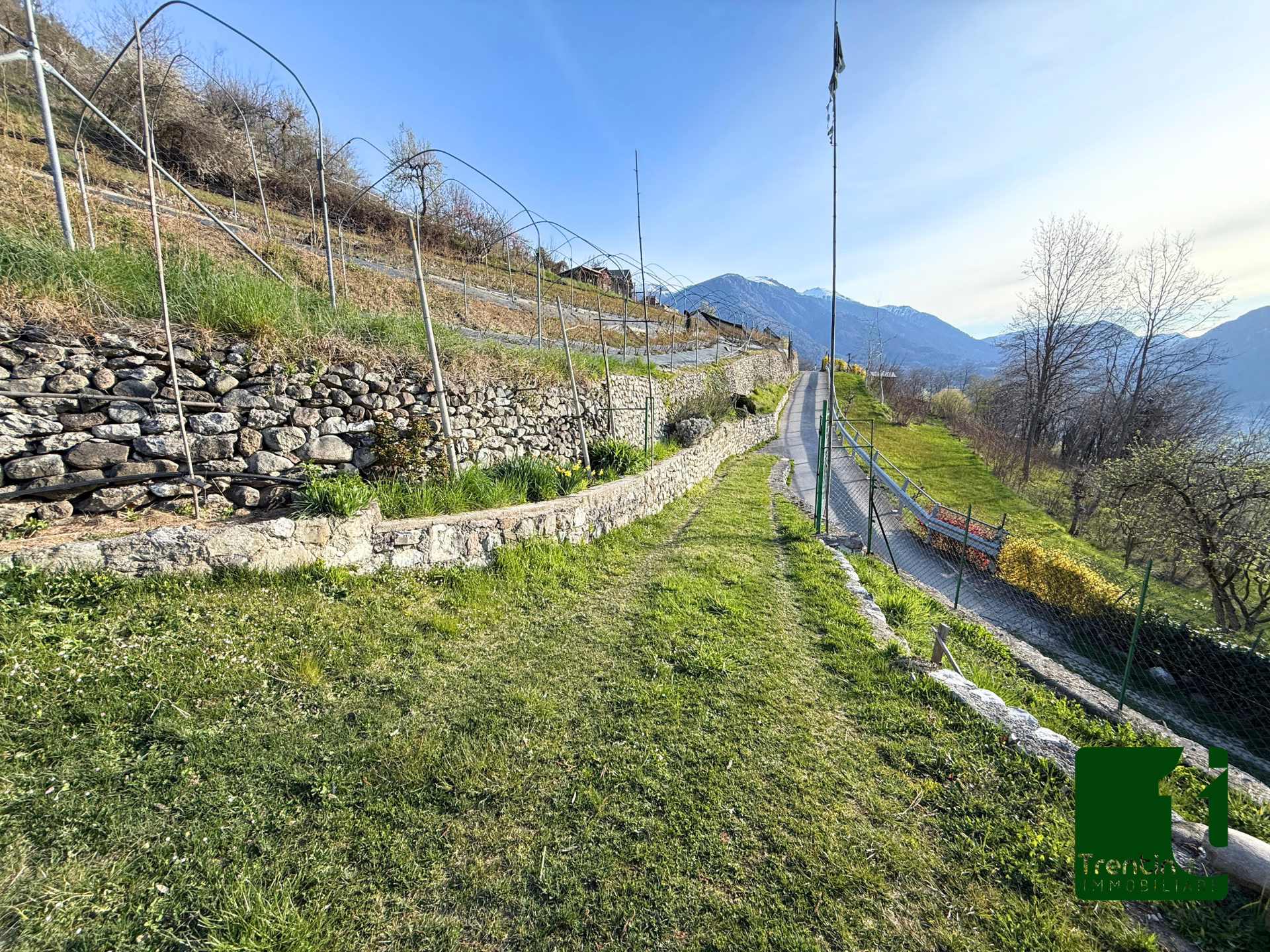 PANORAMICO TERRENO AGRICOLO
