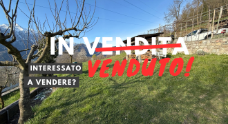 PANORAMICO TERRENO AGRICOLO